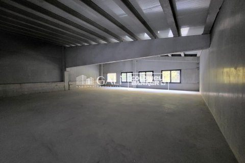 458 sq.m. commercial property for sale in Principado De Andorra (Ninguna Poblacion Tiene C.P.), Lleida, Catalonia, Spain № 5393 - photo 5