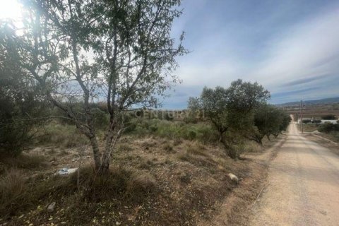 land plot for sale in Vilafranca Del Penedes, Barcelona, Catalonia, Spain № 7004
