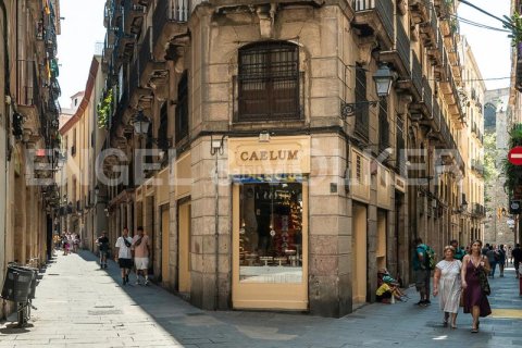 155 sq.m. commercial property for sale in Ciutat Vella, Barcelona, Catalonia, Spain № 2631 - photo 12