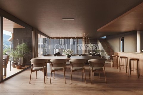 4 bedrooms duplex for sale in Principado De Andorra (Ninguna Poblacion Tiene C.P.), Lleida, Catalonia, Spain № 5337