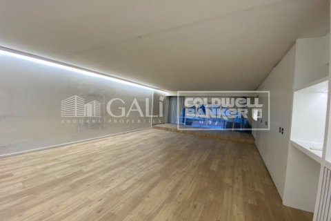 100 sq.m. office for sale in Principado De Andorra (Ninguna Poblacion Tiene C.P.), Lleida, Catalonia, Spain № 5491