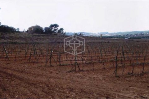 15 bedrooms house for sale in Sitges, Barcelona, Catalonia, Spain № 913 - photo 21