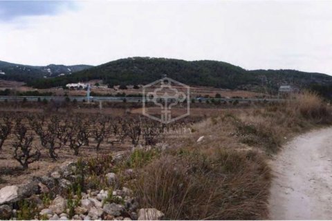 15 bedrooms house for sale in Sitges, Barcelona, Catalonia, Spain № 913 - photo 23
