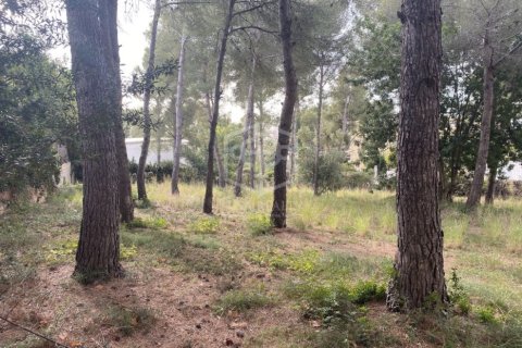 land plot for sale in Calafell, Tarragona, Catalonia, Spain № 950