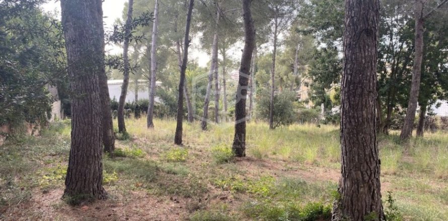 land plot for sale in Calafell, Tarragona, Catalonia, Spain № 950