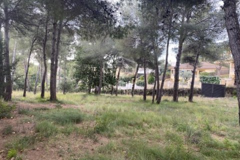 land plot for sale in Calafell, Tarragona, Catalonia, Spain № 950 - photo 2
