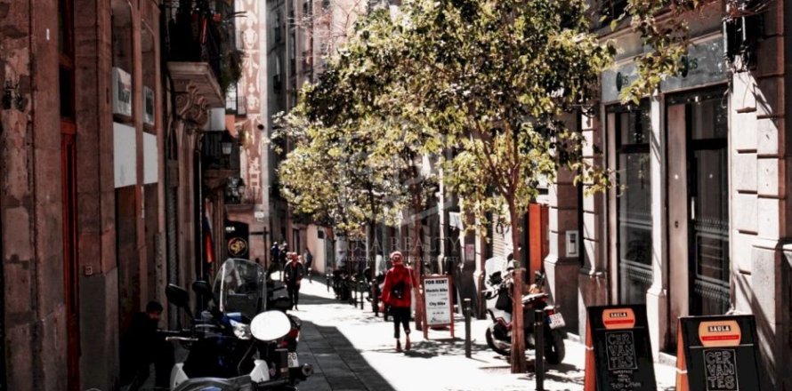 365 sq.m. commercial property for sale in Barcelona, Catalonia, Spain № 953