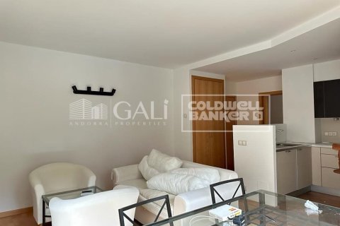 1 bedroom apartment for rent in Principado De Andorra (Ninguna Poblacion Tiene C.P.), Lleida, Catalonia, Spain № 7696