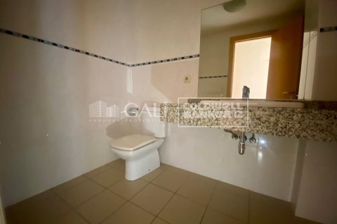 1 bedroom apartment for rent in Principado De Andorra (Ninguna Poblacion Tiene C.P.), Lleida, Catalonia, Spain № 7697 - photo 4