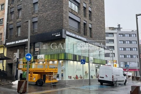 1 bedroom apartment for rent in Principado De Andorra (Ninguna Poblacion Tiene C.P.), Lleida, Catalonia, Spain № 7697 - photo 2