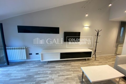 2 bedrooms penthouse for rent in Principado De Andorra (Ninguna Poblacion Tiene C.P.), Lleida, Catalonia, Spain № 7693