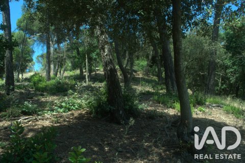 1029 m² land plot à vendre à Sant Cugat Del Valles, Barcelona, Catalonia, Spain № 8362 - photo 10