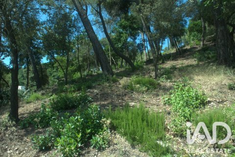 1029 m² land plot à vendre à Sant Cugat Del Valles, Barcelona, Catalonia, Spain № 8362 - photo 9