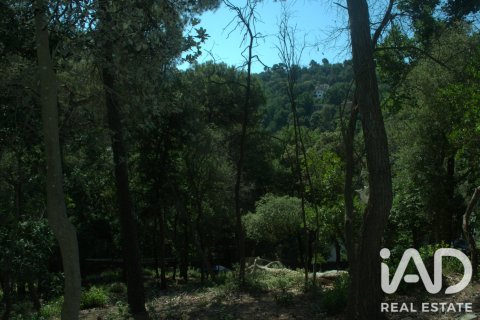 1029 m² land plot à vendre à Sant Cugat Del Valles, Barcelona, Catalonia, Spain № 8362 - photo 7
