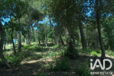 1029 m² land plot à vendre à Sant Cugat Del Valles, Barcelona, Catalonia, Spain № 8362 - photo 13