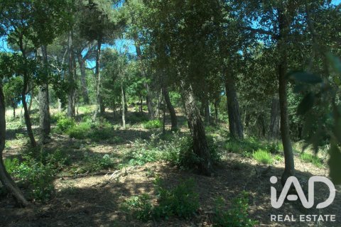 1029 m² land plot à vendre à Sant Cugat Del Valles, Barcelona, Catalonia, Spain № 8362 - photo 12