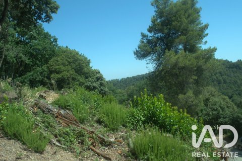 1029 m² land plot à vendre à Sant Cugat Del Valles, Barcelona, Catalonia, Spain № 8362 - photo 11