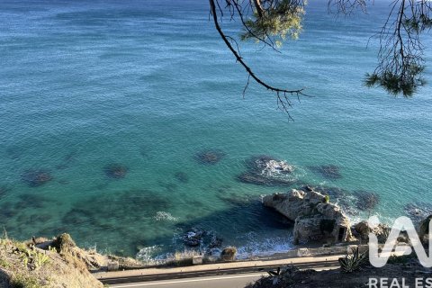 1789 sq.m. land plot for sale in Arenys de Mar, Barcelona, Catalonia, Spain № 4726 - photo 4