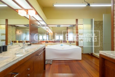 6 bedrooms villa for sale in Principado De Andorra (Ninguna Poblacion Tiene C.P.), Lleida, Catalonia, Spain № 6018 - photo 11