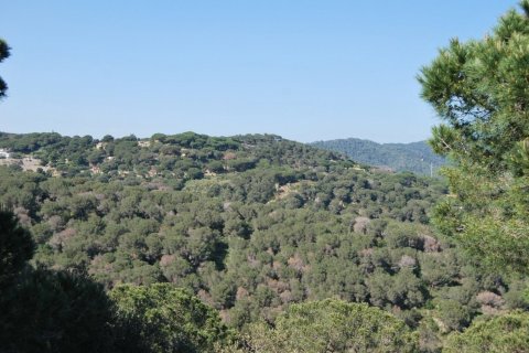 5 bedrooms house for sale in Sant Andreu de Llavaneres, Barcelona, Catalonia, Spain № 3585 - photo 3