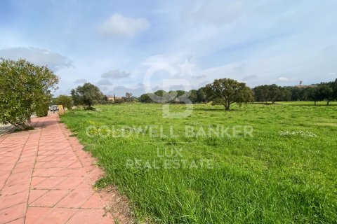 2498 sq.m. land plot for sale in Peralada, Girona, Catalonia, Spain № 5742
