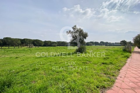 Купить земельный участок в Пералада, Испания 2498м², № 5742 - фото 6