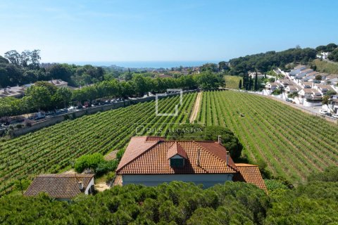 10 bedrooms finca for sale in Alella, Barcelona, Catalonia, Spain № 8629 - photo 5