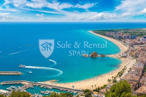 1 chambre commercial property à vendre à Blanes, Girona, Catalonia, Spain № 6723 - photo 5
