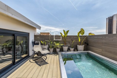 5 bedrooms penthouse for sale in Barcelona, Catalonia, Spain № 8793