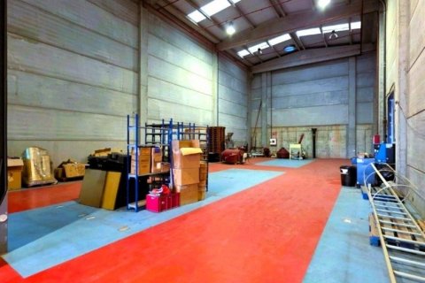 1128 sq.m. commercial property for sale in Cervello, Barcelona, Catalonia, Spain № 8465 - photo 7