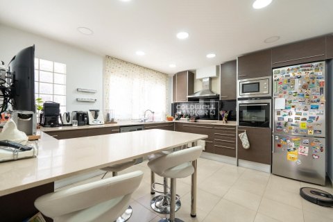 7 bedrooms villa for sale in Principado De Andorra (Ninguna Poblacion Tiene C.P.), Lleida, Catalonia, Spain № 5890