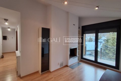 2 bedrooms apartment for rent in Principado De Andorra (Ninguna Poblacion Tiene C.P.), Lleida, Catalonia, Spain № 8016