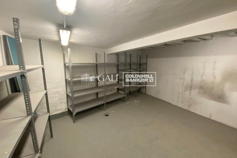 626 sq.m. commercial property for rent in Principado De Andorra (Ninguna Poblacion Tiene C.P.), Lleida, Catalonia, Spain № 8017 - photo 12