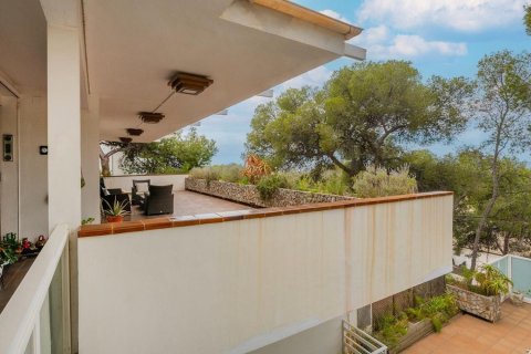 12 bedrooms house for sale in Castelldefels, Barcelona, Catalonia, Spain № 6215 - photo 11
