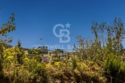 7 bedrooms house for sale in Sant Andreu de Llavaneres, Barcelona, Catalonia, Spain № 5335 - photo 15