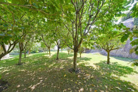 6 bedrooms villa for sale in Sant Andreu de Llavaneres, Barcelona, Catalonia, Spain № 1270 - photo 4