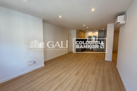 3 bedrooms apartment for rent in Principado De Andorra (Ninguna Poblacion Tiene C.P.), Lleida, Catalonia, Spain № 8007 - photo 2