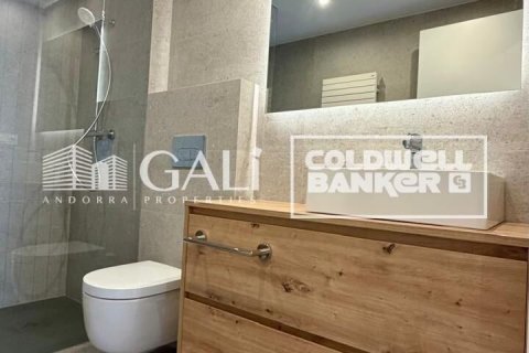 3 bedrooms apartment for rent in Principado De Andorra (Ninguna Poblacion Tiene C.P.), Lleida, Catalonia, Spain № 8007 - photo 18