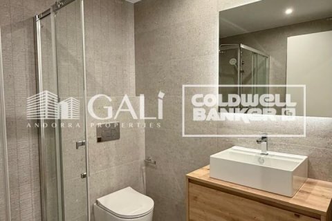 3 bedrooms apartment for rent in Principado De Andorra (Ninguna Poblacion Tiene C.P.), Lleida, Catalonia, Spain № 8007 - photo 22