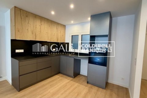 3 bedrooms apartment for rent in Principado De Andorra (Ninguna Poblacion Tiene C.P.), Lleida, Catalonia, Spain № 8007 - photo 3