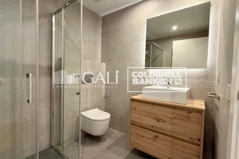 3 bedrooms apartment for rent in Principado De Andorra (Ninguna Poblacion Tiene C.P.), Lleida, Catalonia, Spain № 8007 - photo 21