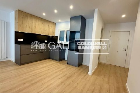 3 bedrooms apartment for rent in Principado De Andorra (Ninguna Poblacion Tiene C.P.), Lleida, Catalonia, Spain № 8007 - photo 8