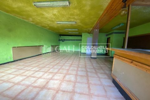 170 sq.m. commercial property for rent in Principado De Andorra (Ninguna Poblacion Tiene C.P.), Lleida, Catalonia, Spain № 8009 - photo 16