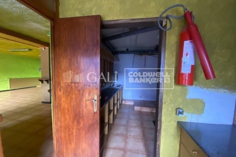 170 sq.m. commercial property for rent in Principado De Andorra (Ninguna Poblacion Tiene C.P.), Lleida, Catalonia, Spain № 8009 - photo 18