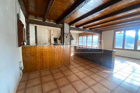 170 sq.m. commercial property for rent in Principado De Andorra (Ninguna Poblacion Tiene C.P.), Lleida, Catalonia, Spain № 8009