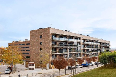 Terram in Barcelona № 253