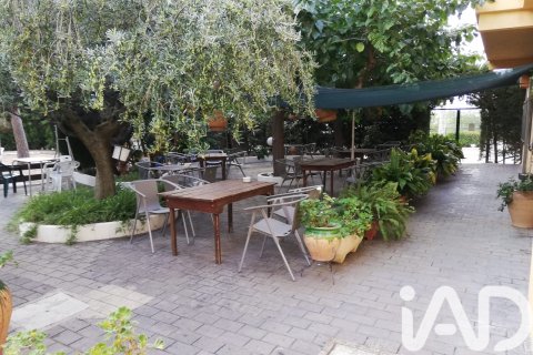 Propiedad comercial de 981 m² en venta en Tivissa, Tarragona, Cataluña, Spain № 7497 - foto 22