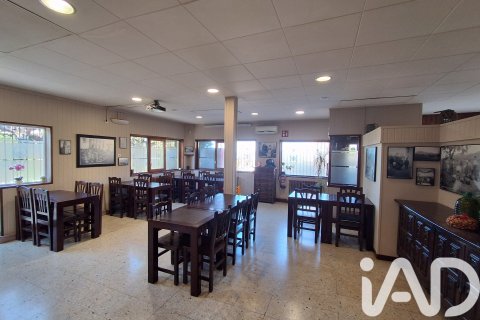 Propiedad comercial de 981 m² en venta en Tivissa, Tarragona, Cataluña, Spain № 7497 - foto 7