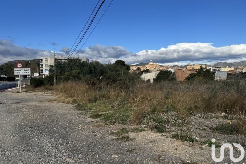 9234 sq.m. land plot for sale in Mont-roig del Camp, Tarragona, Catalonia, Spain № 4977 - photo 6