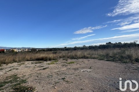 9234 sq.m. land plot for sale in Mont-roig del Camp, Tarragona, Catalonia, Spain № 4977